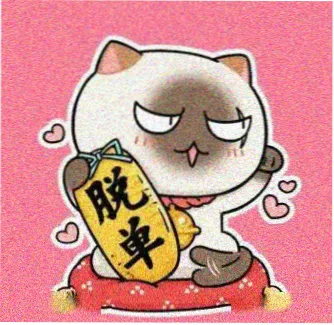 读者一只失眠的猫头像